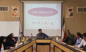 برگزاری نخستین جلسه کارگروه ارتقای فرهنگ سلامت شهرستان گناباد
