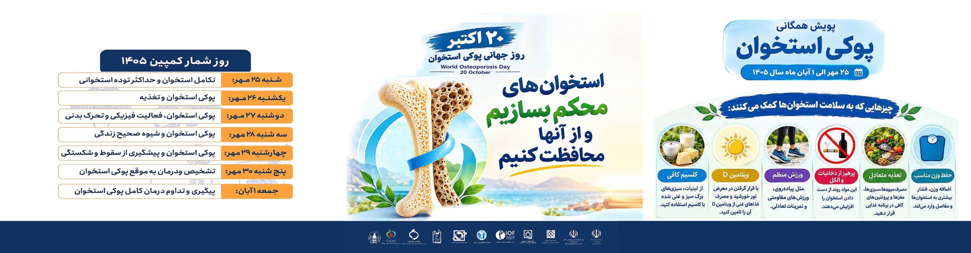 پویش پوکی استخوان